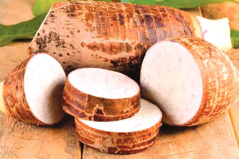 Himachal Pradesh: Imposing Landscape, Heritage and Cuisine!